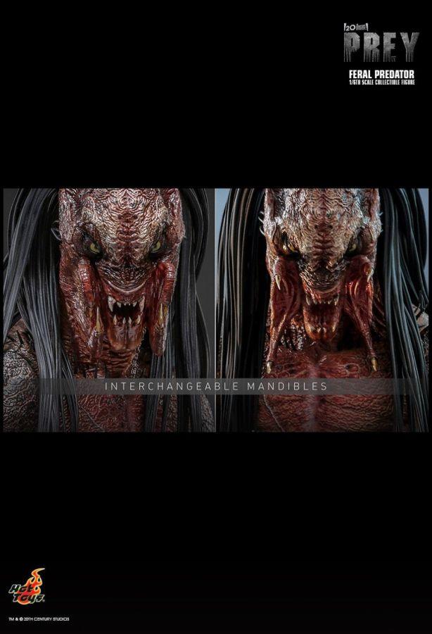 HOTTMS114 Prey - Feral Predator 1:6 Scale Collectable Figure - Hot Toys - Titan Pop Culture