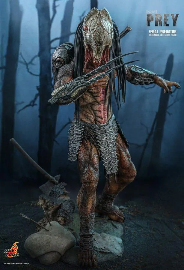 HOTTMS114 Prey - Feral Predator 1:6 Scale Collectable Figure - Hot Toys - Titan Pop Culture