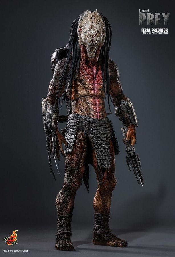 HOTTMS114 Prey - Feral Predator 1:6 Scale Collectable Figure - Hot Toys - Titan Pop Culture