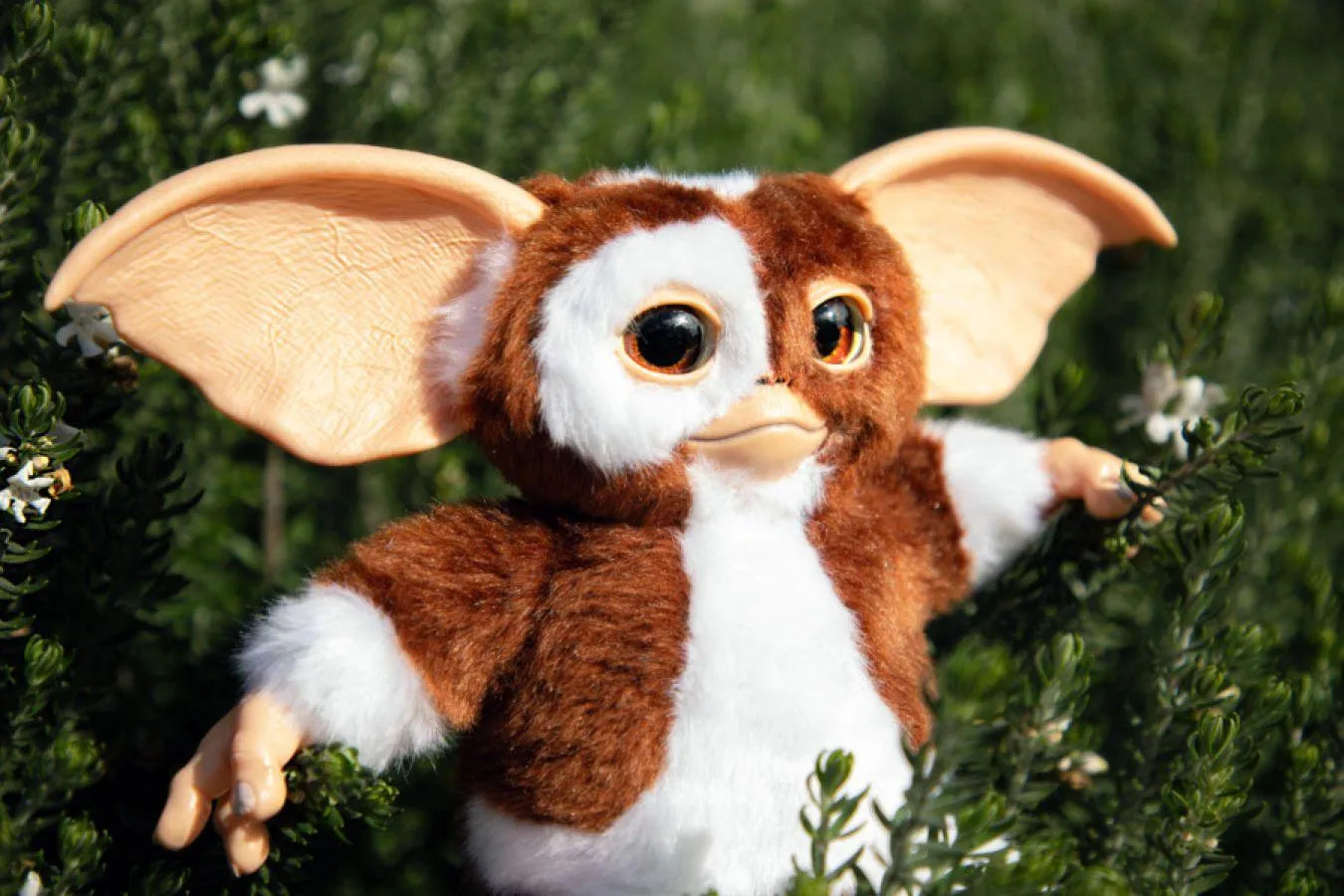 IKO1894 Gremlins - Singing & Dancing Replica Gizmo Plush - Ikon Design Studio - Titan Pop Culture