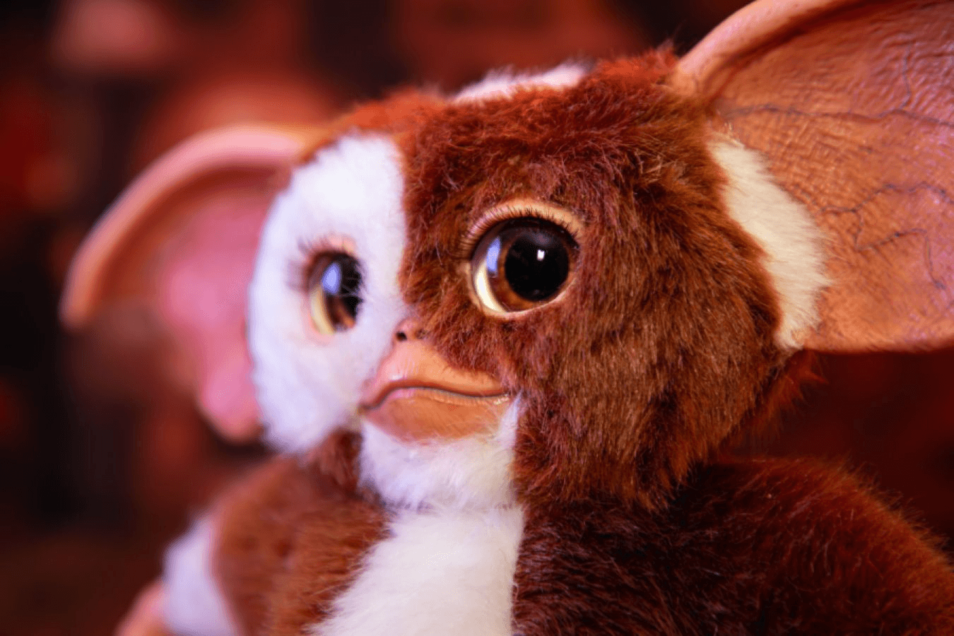 IKO1904 Gremlins - Replica Mogwai box and Gizmo plush - Ikon Design Studio - Titan Pop Culture