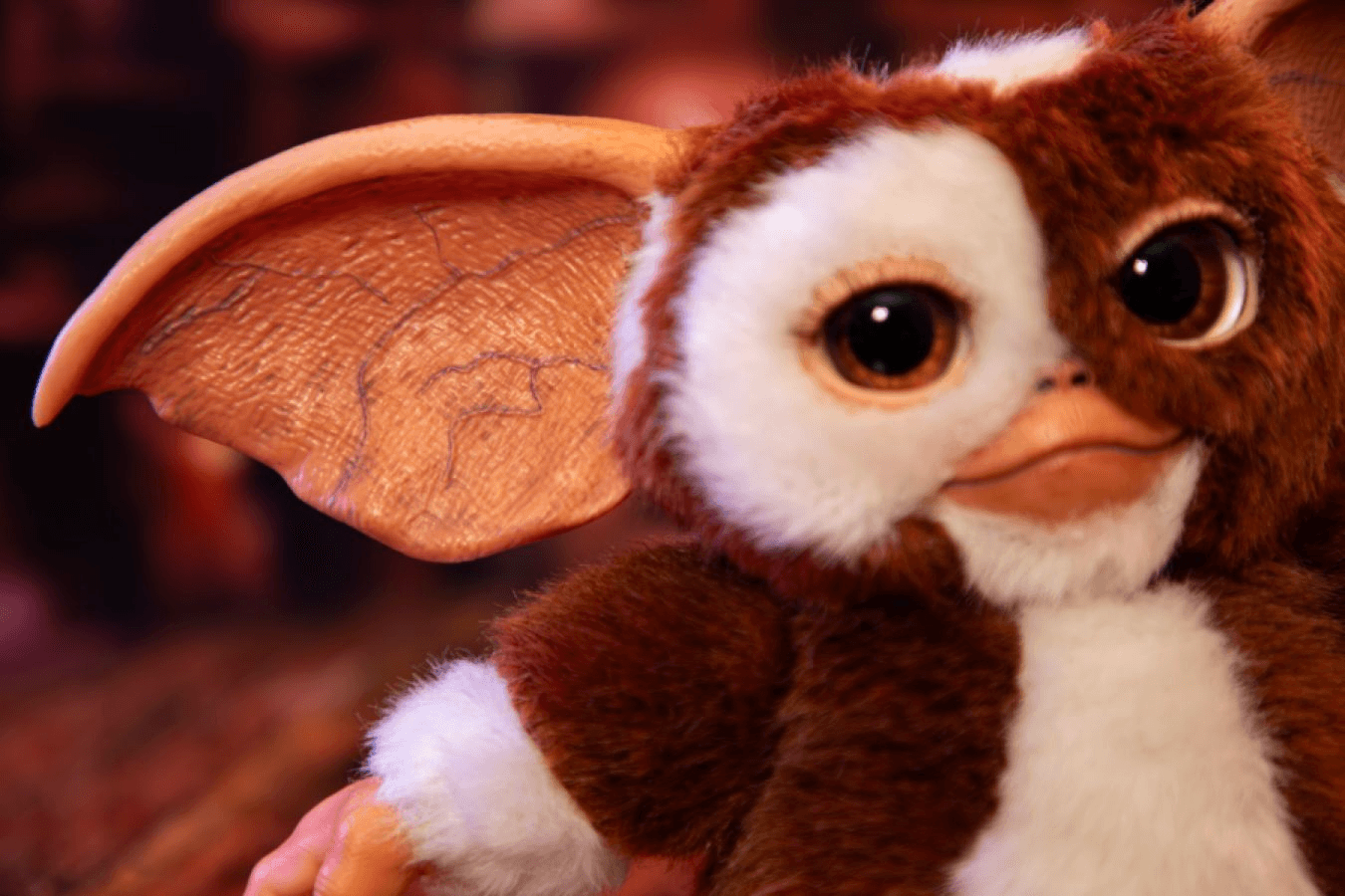 IKO1904 Gremlins - Replica Mogwai box and Gizmo plush - Ikon Design Studio - Titan Pop Culture