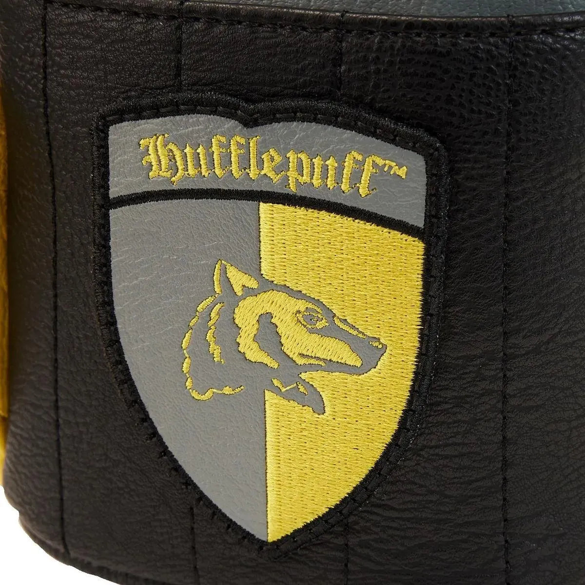 LOUHPBK0186 Harry Potter - Cedric Diggory US Exclusive Mini Backpack [RS] - Loungefly - Titan Pop Culture