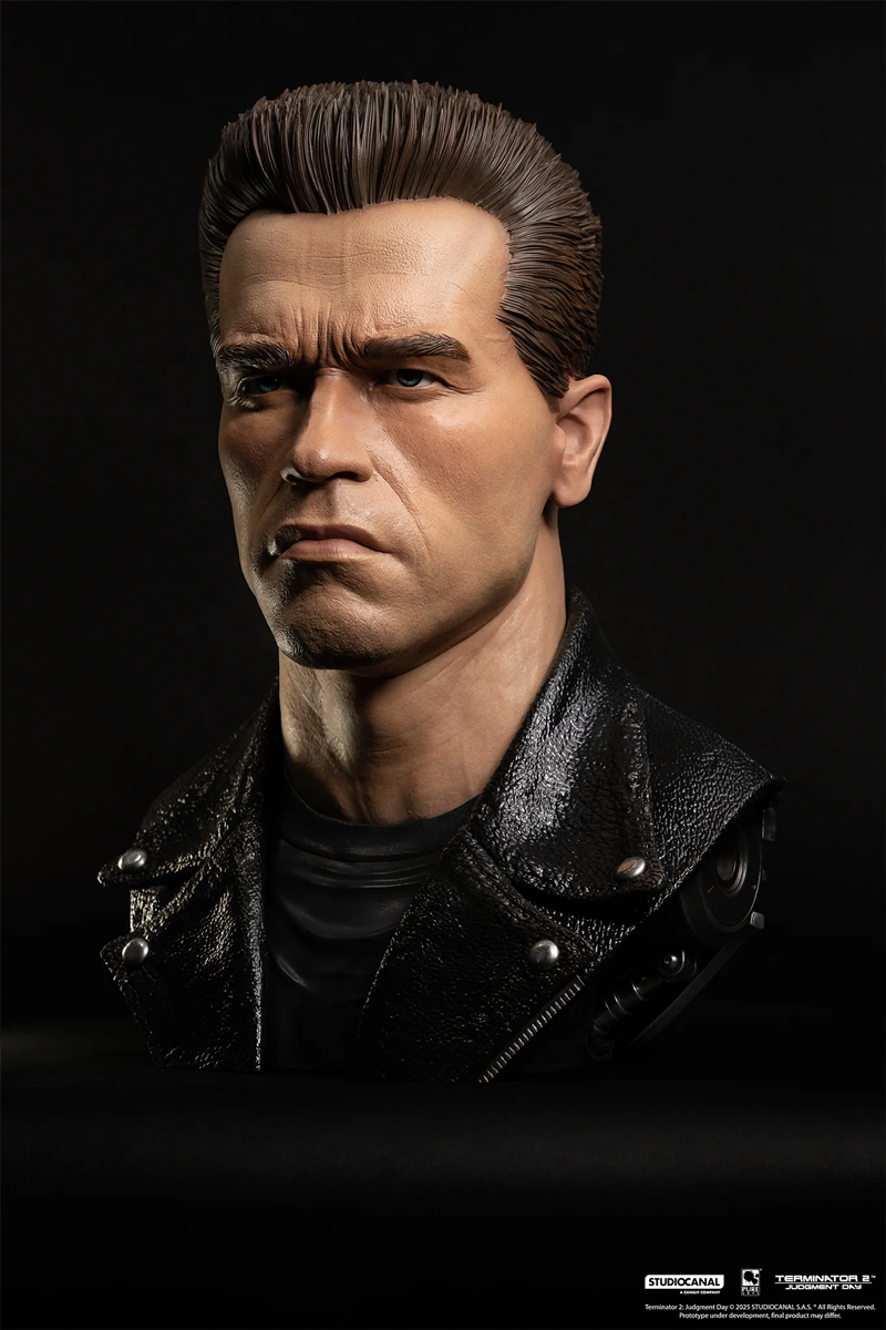Terminator 2: El Juicio Final – Máscara de Arte a escala 1:1 del modelo T-800 101