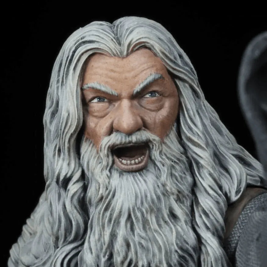 SDTLTR25577 The Lord of the Rings - Gandalf in Moria Figure - SD Toys - Titan Pop Culture