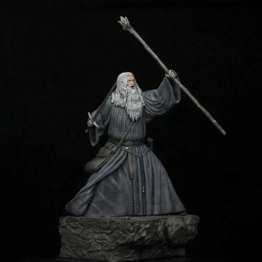 SDTLTR25577 The Lord of the Rings - Gandalf in Moria Figure - SD Toys - Titan Pop Culture