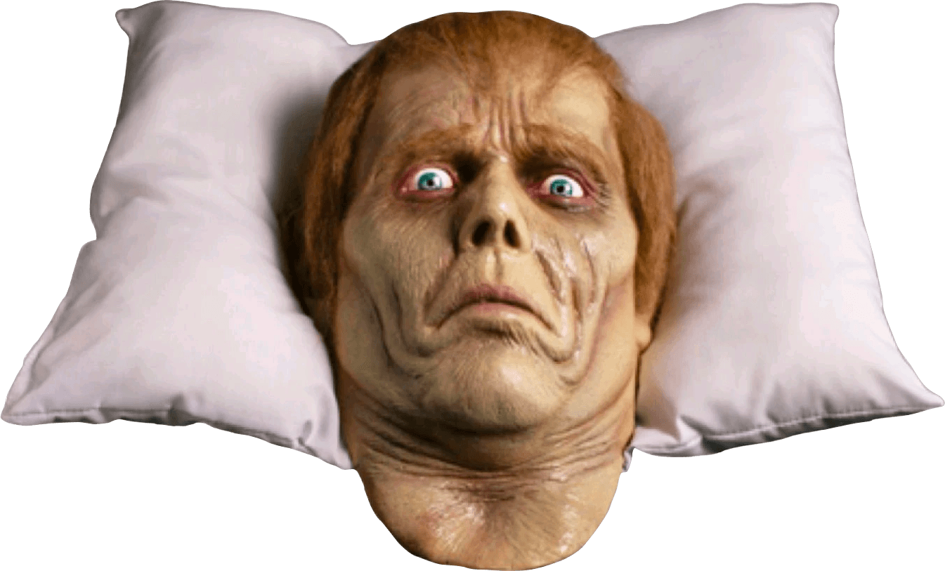 TTSTTRL120 Dawn of the Dead - Roger Pillow Pal - Trick or Treat Studios - Titan Pop Culture