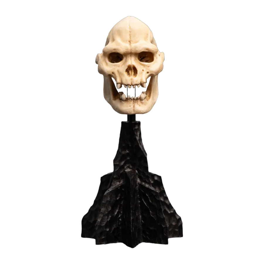 WET04356 The Lord of the Rings - Skull of Lurtz Miniature Skull - Weta Workshop - Titan Pop Culture