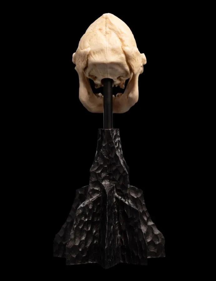 WET04356 The Lord of the Rings - Skull of Lurtz Miniature Skull - Weta Workshop - Titan Pop Culture