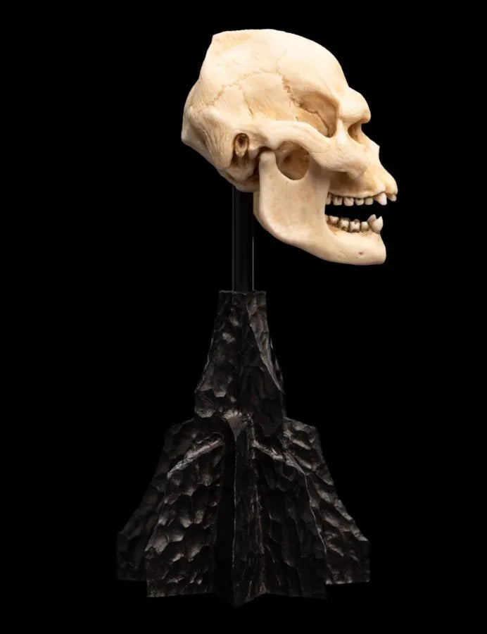 WET04356 The Lord of the Rings - Skull of Lurtz Miniature Skull - Weta Workshop - Titan Pop Culture