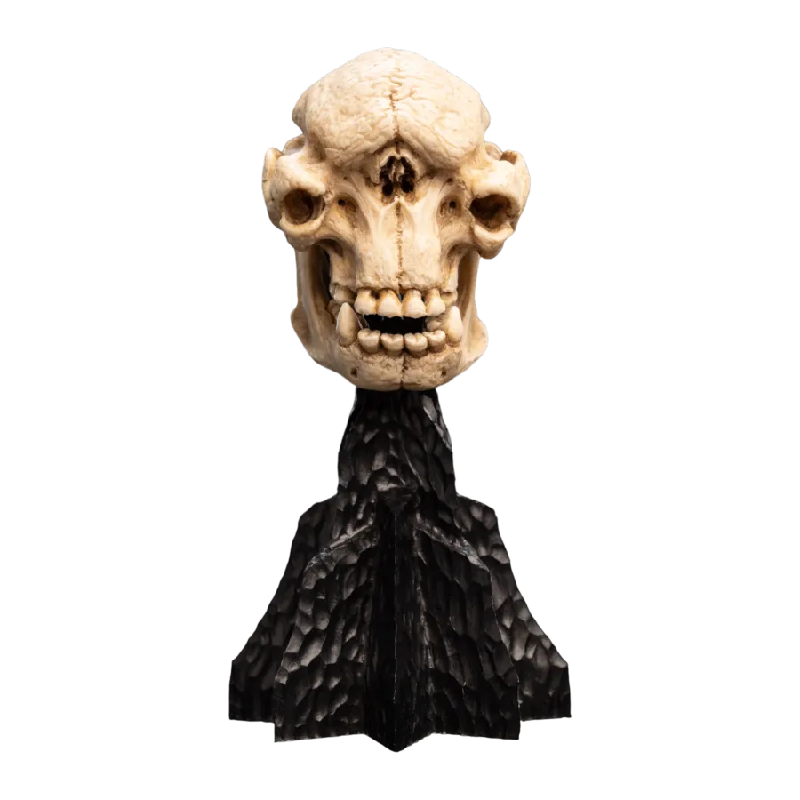 WET04427 The Lord of the Rings - Skull of a Cave Troll Miniature Skull - Weta Workshop - Titan Pop Culture