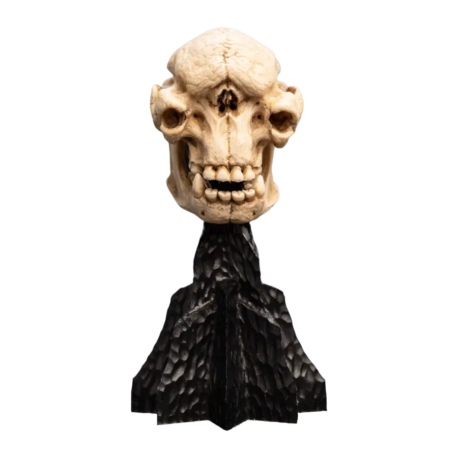 WET04427 The Lord of the Rings - Skull of a Cave Troll Miniature Skull - Weta Workshop - Titan Pop Culture