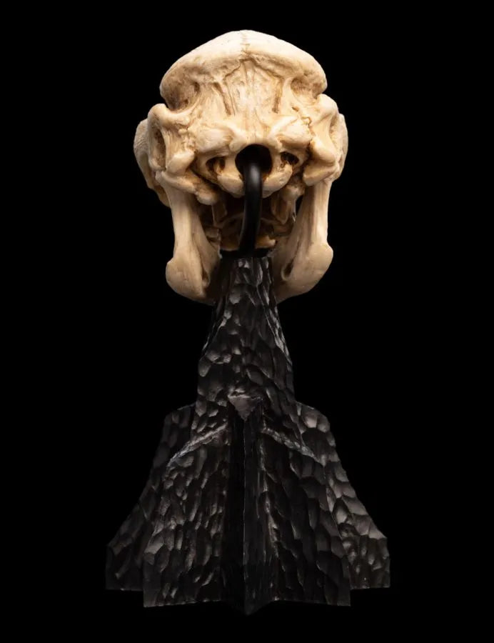 WET04427 The Lord of the Rings - Skull of a Cave Troll Miniature Skull - Weta Workshop - Titan Pop Culture