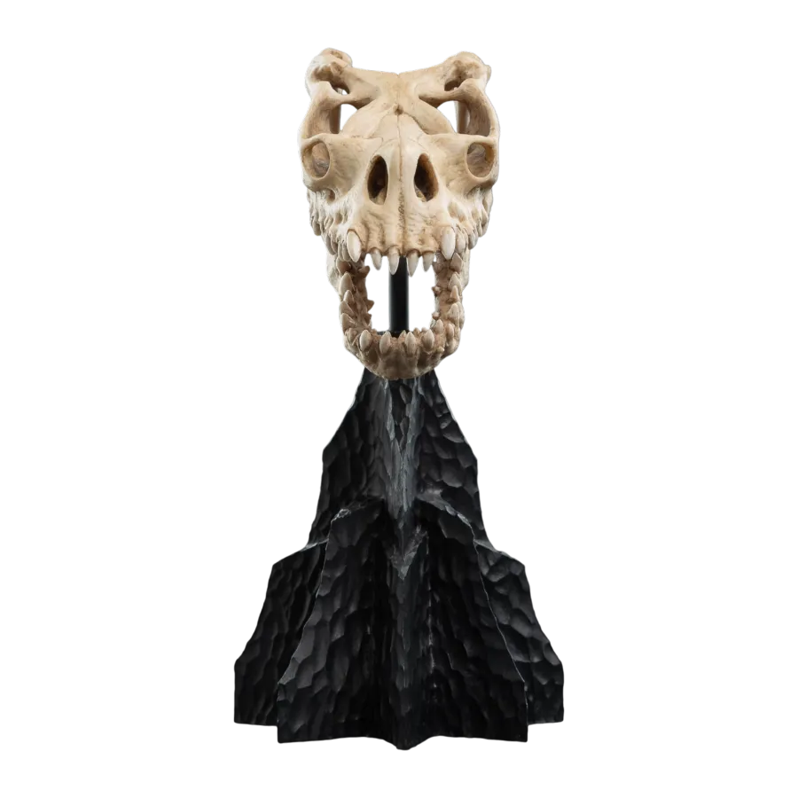 WET04428 The Lord of the Rings - Skull of a Fell Beast Miniature Skull - Weta Workshop - Titan Pop Culture