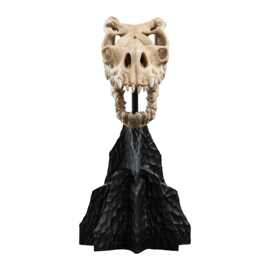 WET04428 The Lord of the Rings - Skull of a Fell Beast Miniature Skull - Weta Workshop - Titan Pop Culture