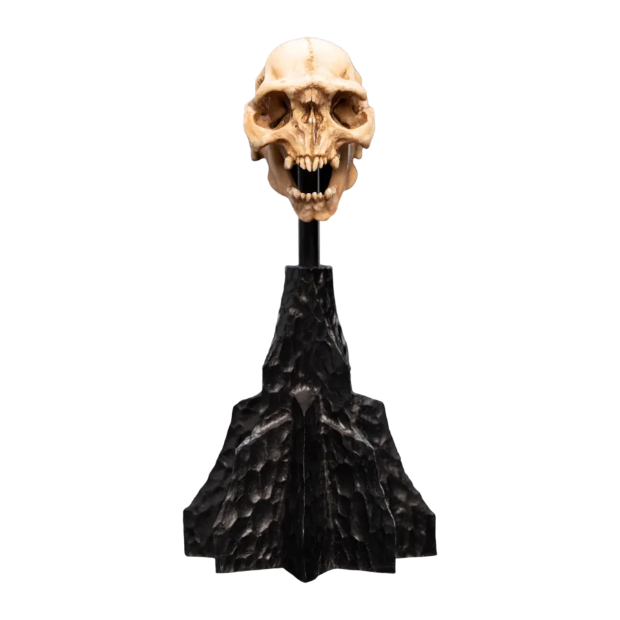 WET04429 The Lord of the Rings - Skull of a Moria Orc Miniature Skull - Weta Workshop - Titan Pop Culture