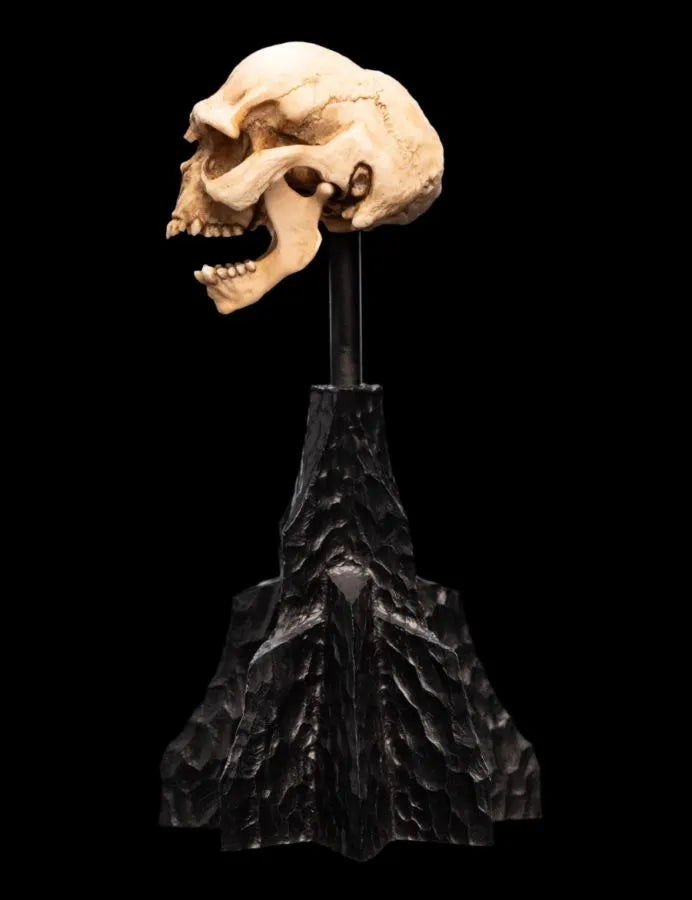 WET04429 The Lord of the Rings - Skull of a Moria Orc Miniature Skull - Weta Workshop - Titan Pop Culture