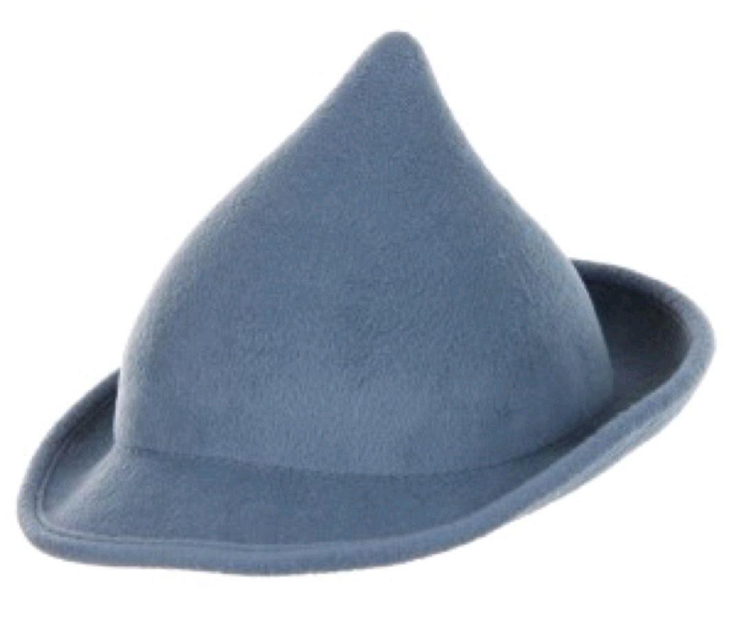 ELO250051 Harry Potter - Fleur Delacour Hat - Elope - Titan Pop Culture