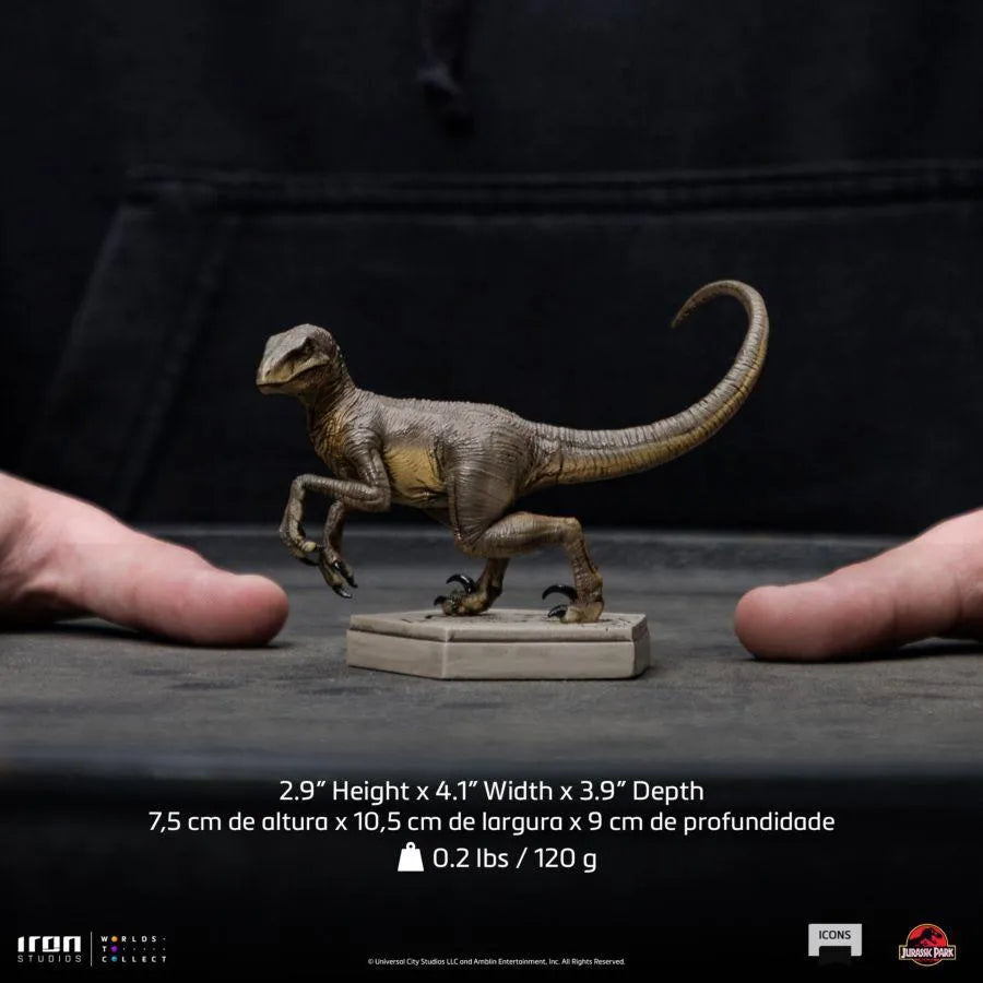 IRO52038 Jurassic Park - Velociraptor C Icons Statue - Iron Studios - Titan Pop Culture