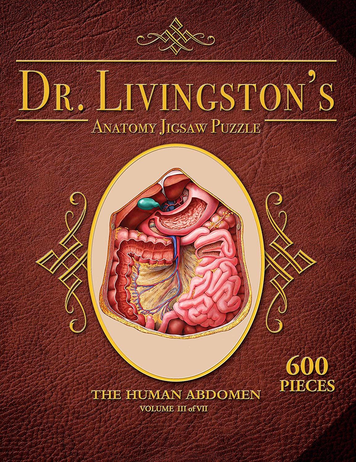 VR-79097 Dr. Livingston's Anatomy the Human Abdomen Puzzle 600 pieces - Genius Games - Titan Pop Culture