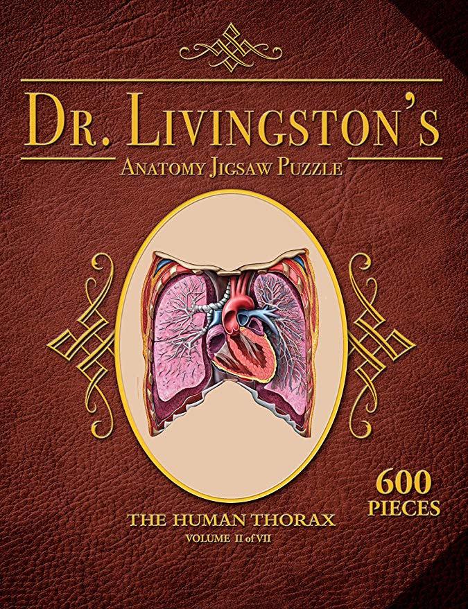 VR-79098 Dr. Livingston's Anatomy the Human Thorax Puzzle 600 pieces - Genius Games - Titan Pop Culture